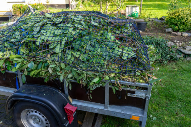 Best Recycling Services for Junk  in Sandoval, IL